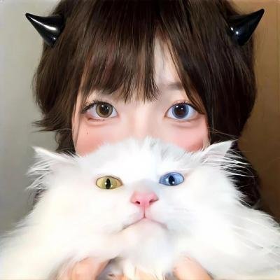 铁头